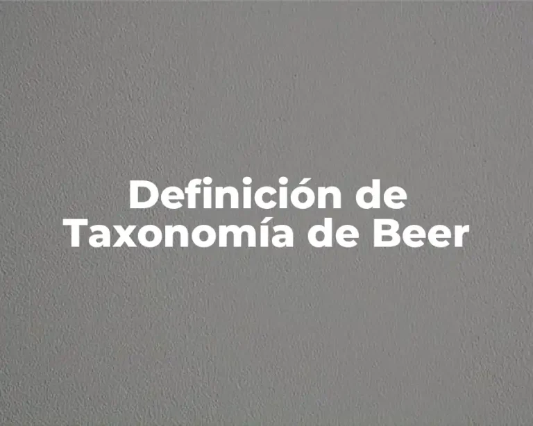 Definición de Taxonomía de Beer