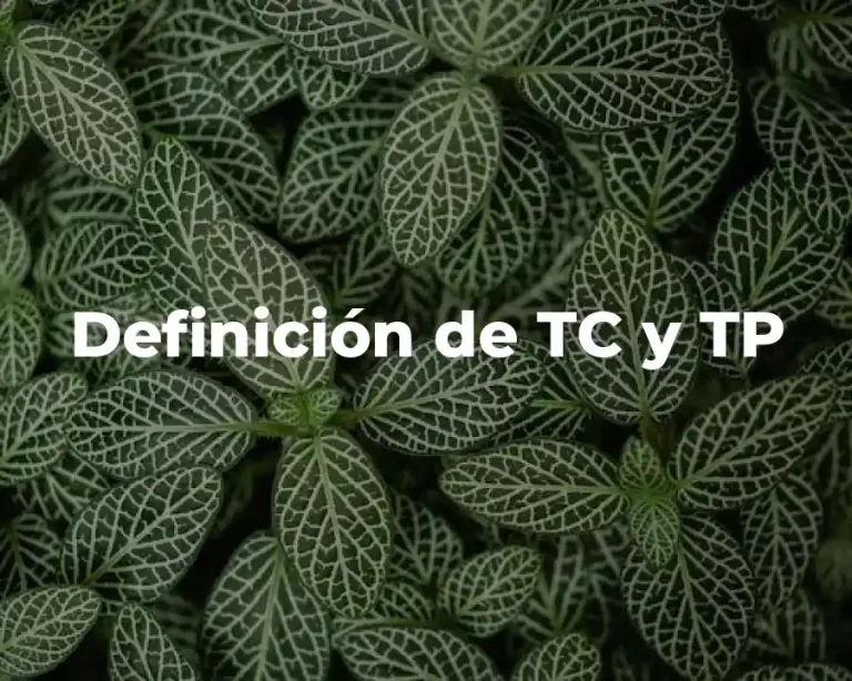Definición de TC y TP