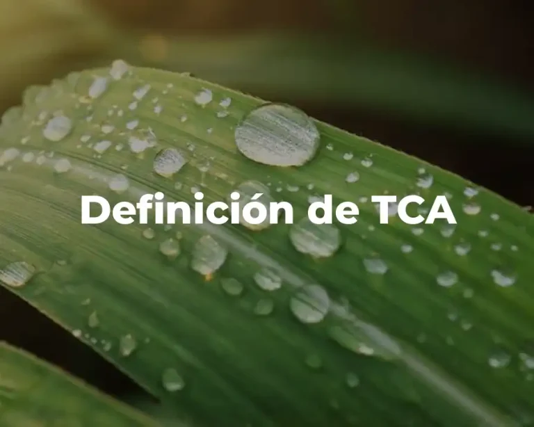 Definición de TCA