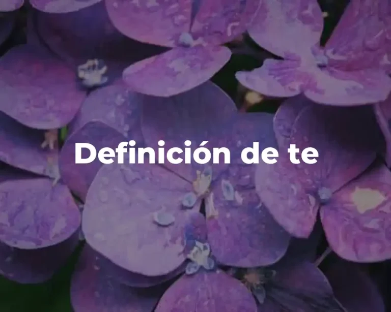 Definición de te