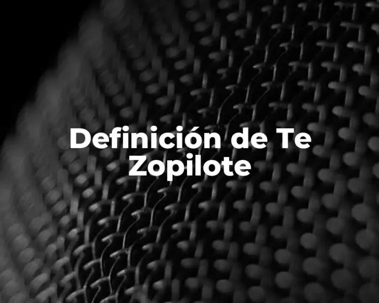 Definición de Te Zopilote