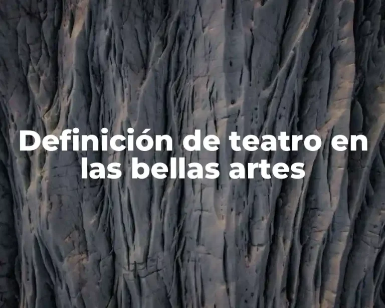 Definición de teatro en las bellas artes