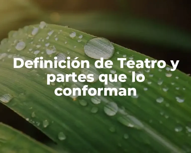 Definición de Teatro y partes que lo conforman