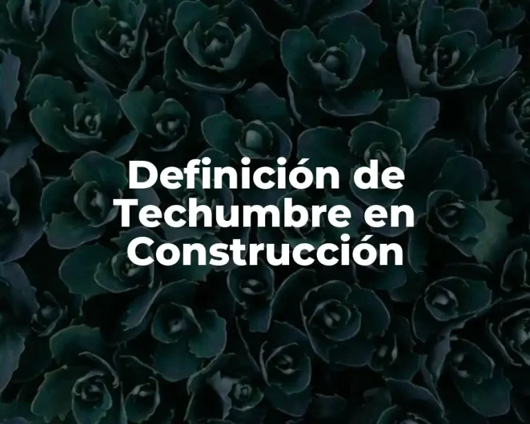 Definición de Techumbre en Construcción