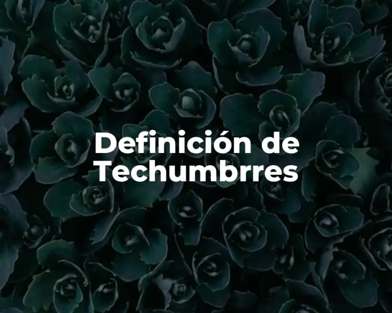 Definición de Techumbrres