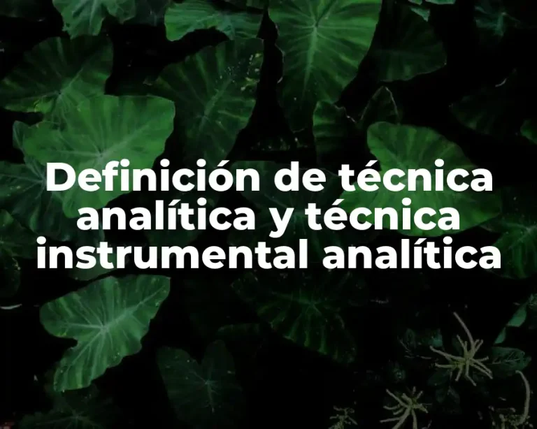 Definición de técnica analítica y técnica instrumental analítica