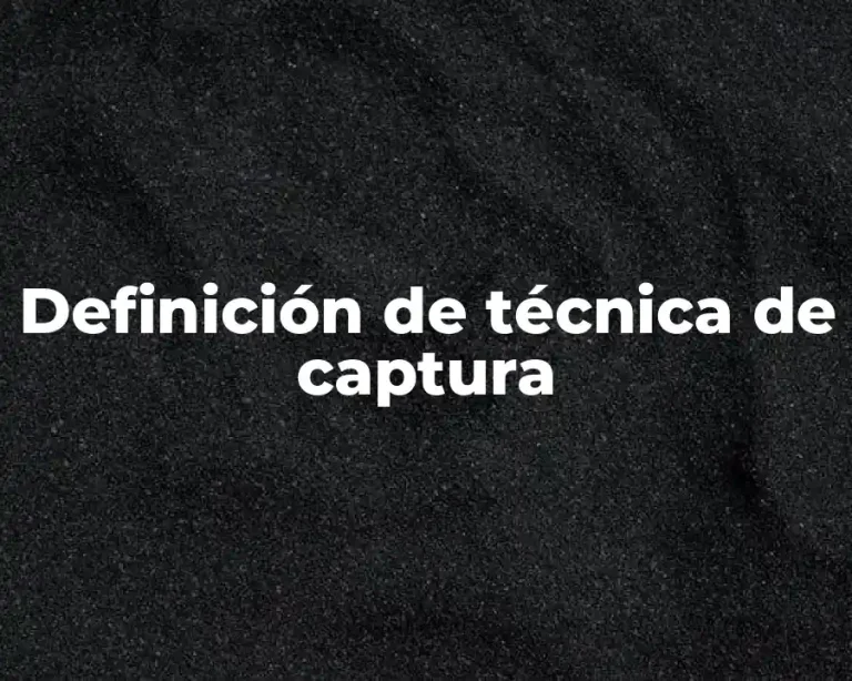 Definición de técnica de captura