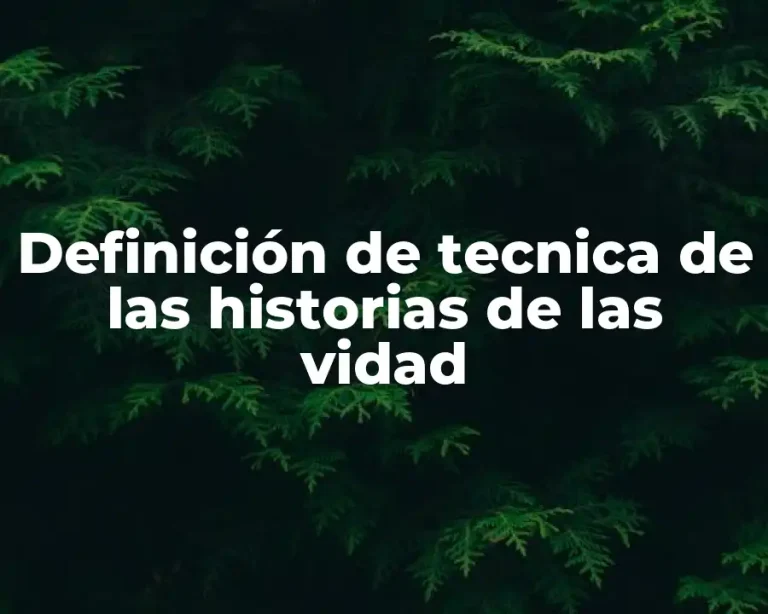 Definición de tecnica de las historias de las vidad