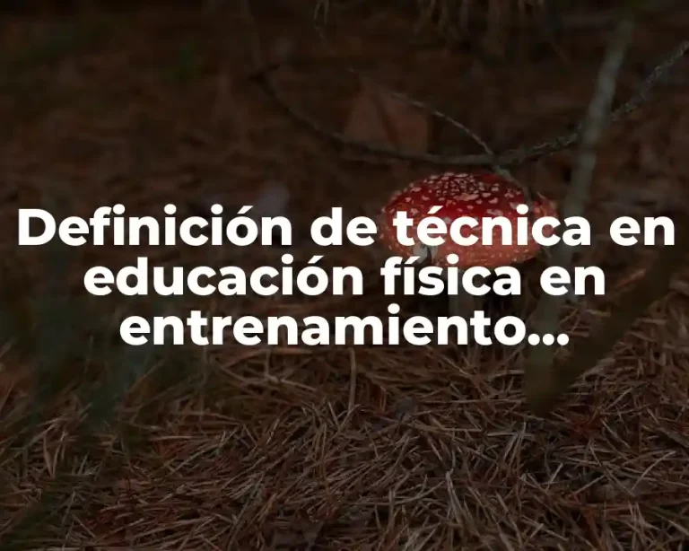 Definición de técnica en educación física en entrenamiento deportivo