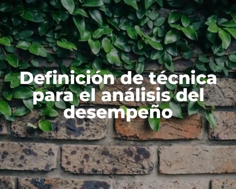 Definición de técnica para el análisis del desempeño