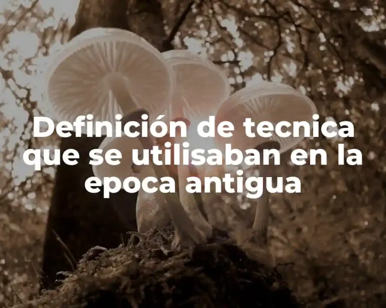 Definición de tecnica que se utilisaban en la epoca antigua
