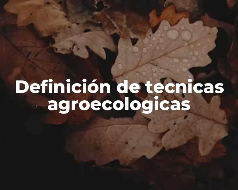 Definición de tecnicas agroecologicas