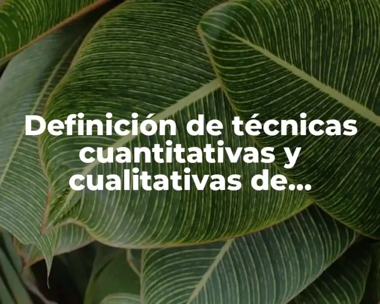 Definición de técnicas cuantitativas y cualitativas de planeacion