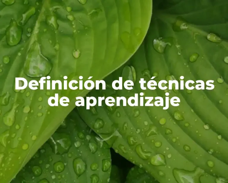 Definición de técnicas de aprendizaje