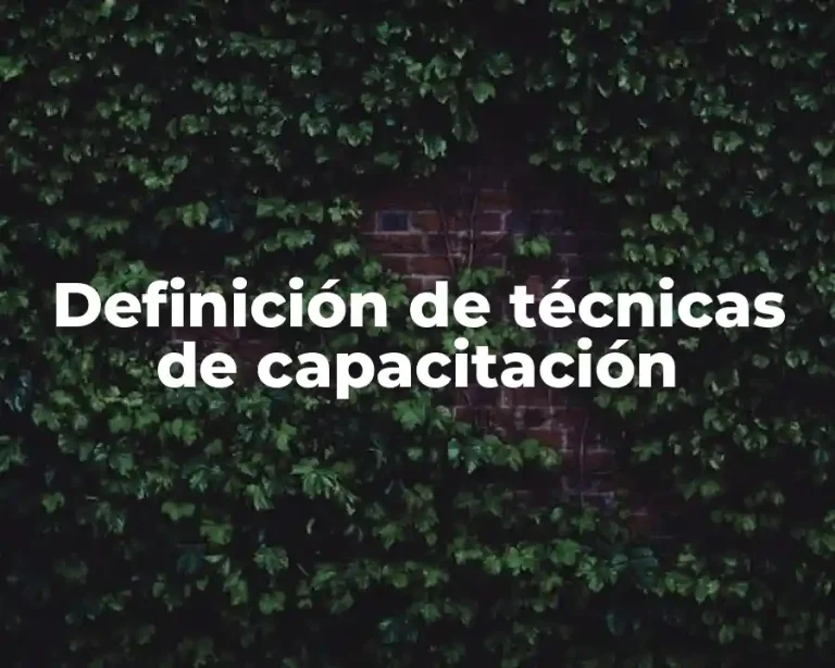 Definición de técnicas de capacitación