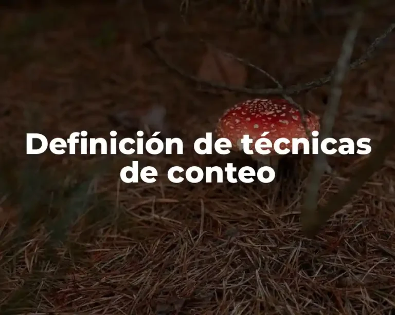 Definición de técnicas de conteo
