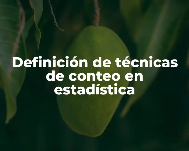 Definición de técnicas de conteo en estadística