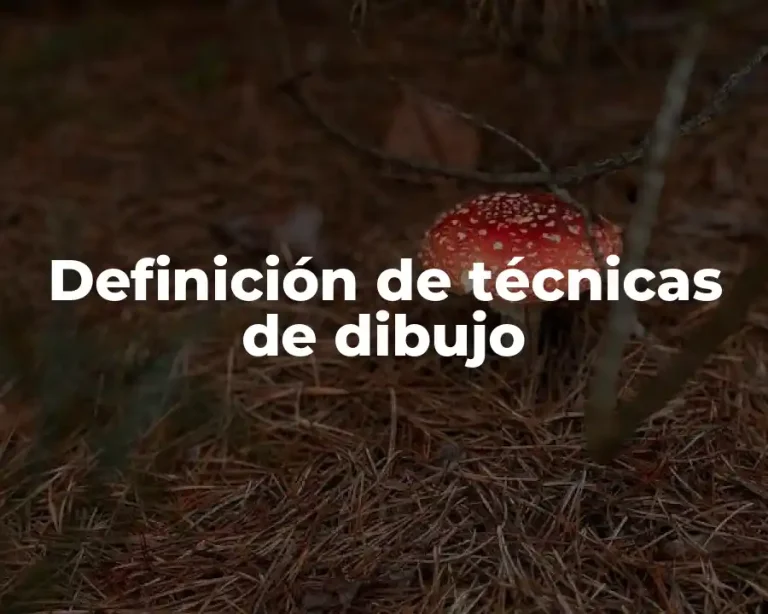 Definición de técnicas de dibujo