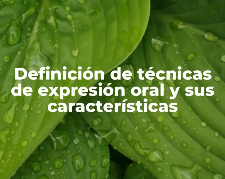 Definición de técnicas de expresión oral y sus características