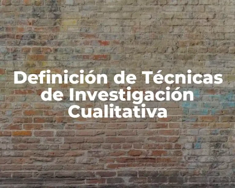 Definición de Técnicas de Investigación Cualitativa