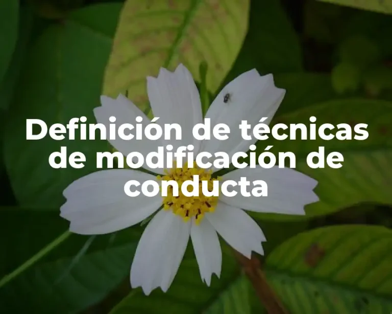 Definición de técnicas de modificación de conducta