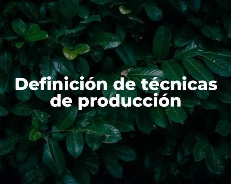 Definición de técnicas de producción