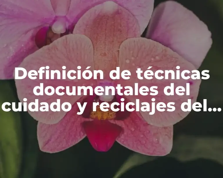 Definición de técnicas documentales del cuidado y reciclajes del agua