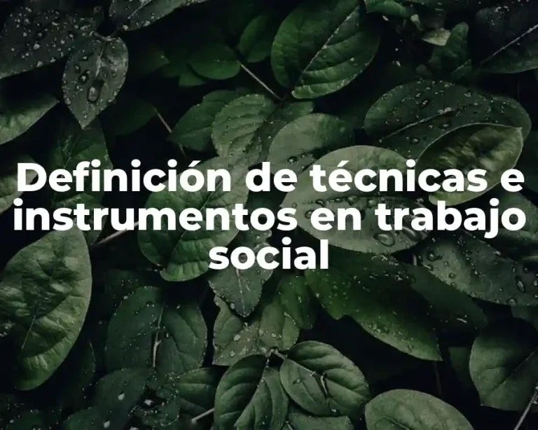 Definición de técnicas e instrumentos en trabajo social