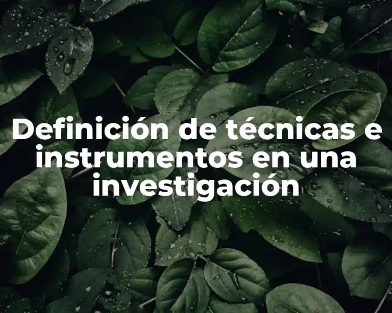 Definición de técnicas e instrumentos en una investigación