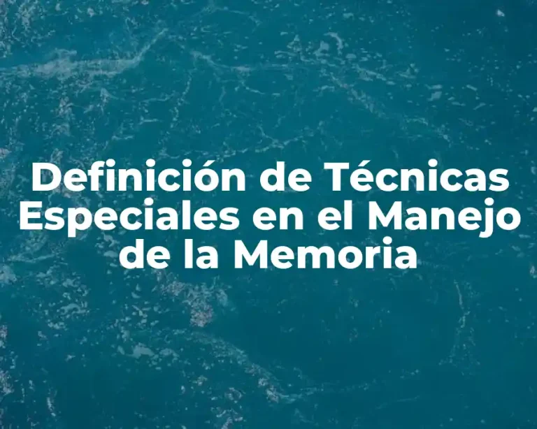 Definición de Técnicas Especiales en el Manejo de la Memoria