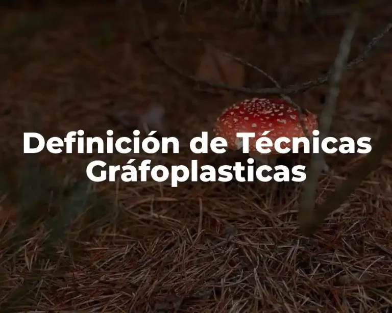 Definición de Técnicas Gráfoplasticas