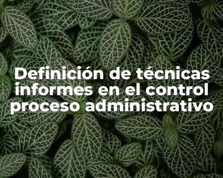 Definición de técnicas informes en el control proceso administrativo
