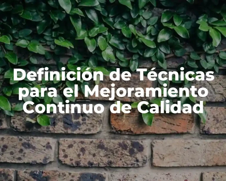 Definición de Técnicas para el Mejoramiento Continuo de Calidad