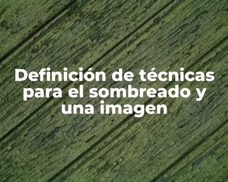 Definición de técnicas para el sombreado y una imagen