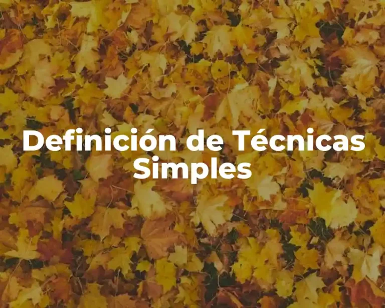 Definición de Técnicas Simples