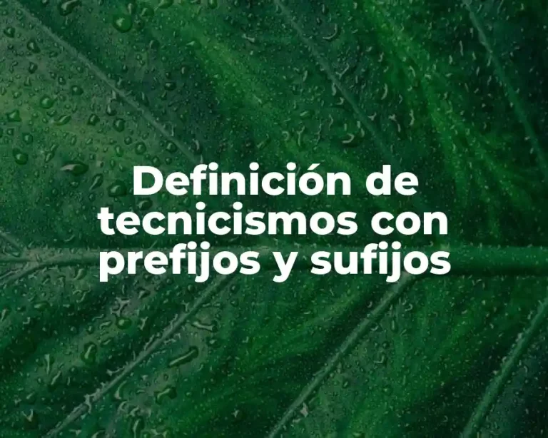 Definición de tecnicismos con prefijos y sufijos