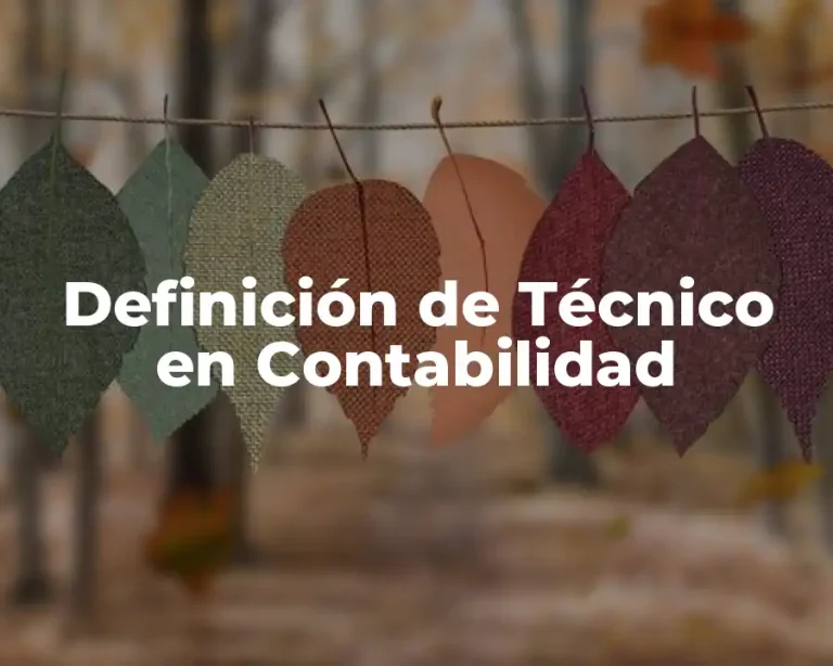 Definición de Técnico en Contabilidad