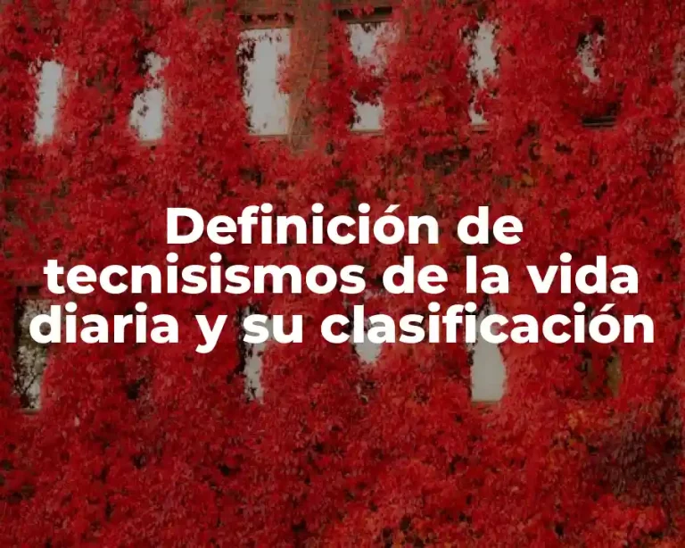 Definición de tecnisismos de la vida diaria y su clasificación