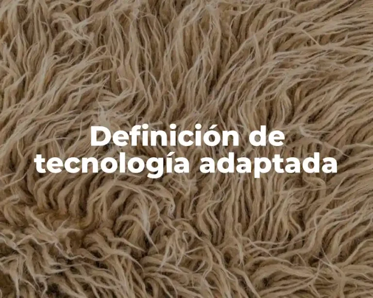 Definición de tecnología adaptada