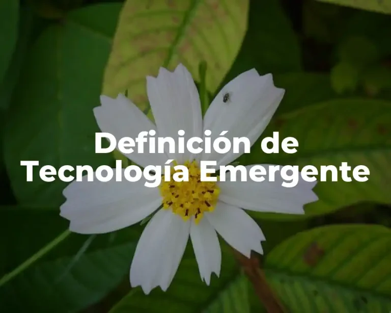 Definición de Tecnología Emergente