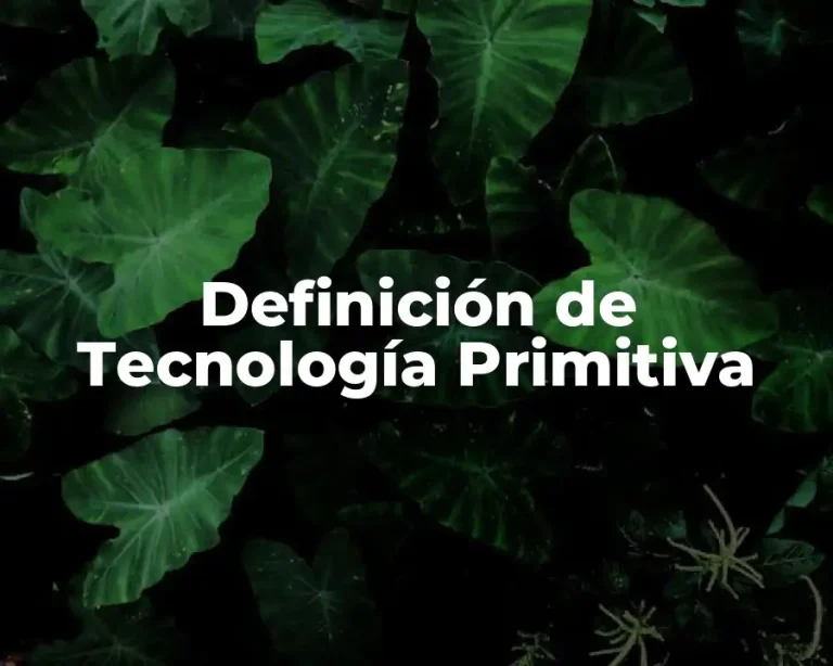 Definición de Tecnología Primitiva