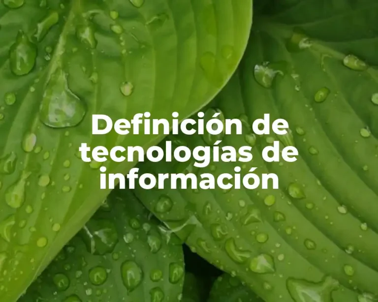 Definición de tecnologías de información