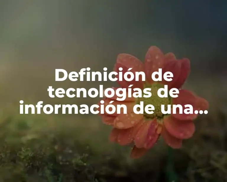 Definición de tecnologías de información de una empresa más comunes