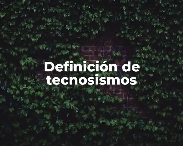 Definición de tecnosismos