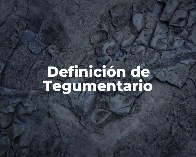 Definición de Tegumentario