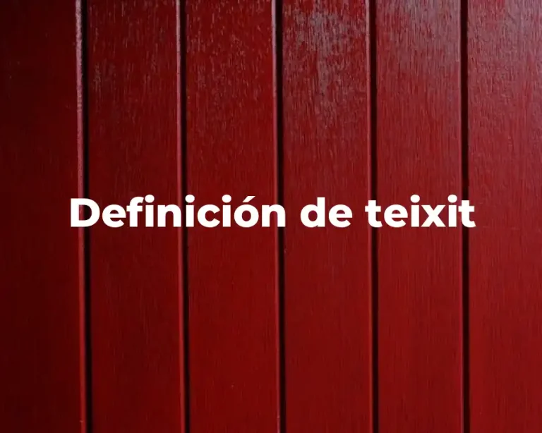Definición de teixit