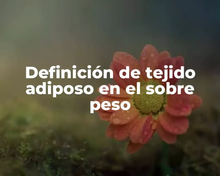 Definición de tejido adiposo en el sobre peso