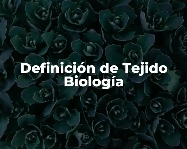 Definición de Tejido Biología