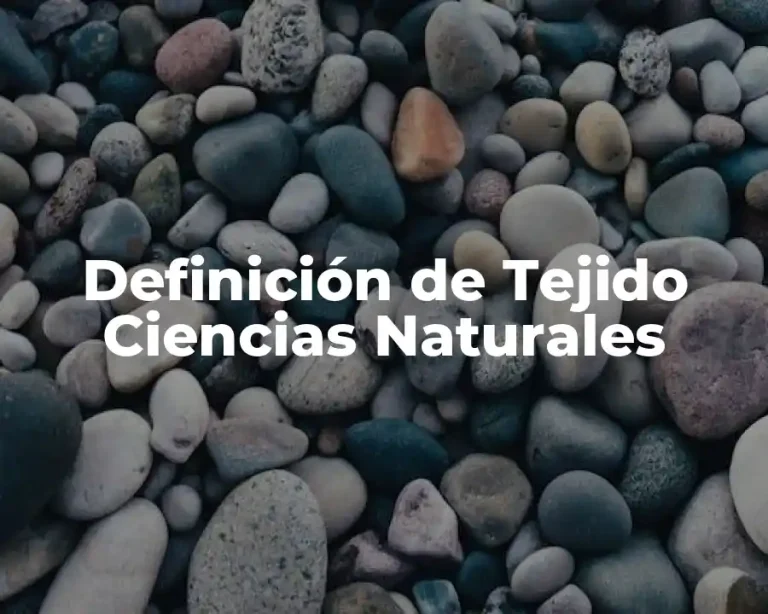 Definición de Tejido Ciencias Naturales