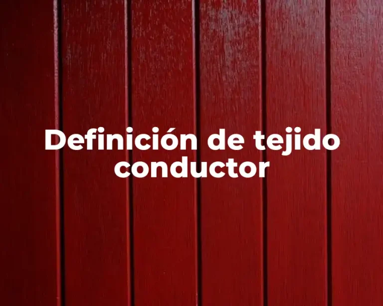 Definición de tejido conductor